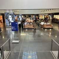 Frankfurt airport transit 