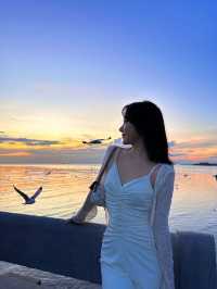 🇹🇭Bangkok Surrounding Attractions - Watch Seagulls at Pak Nam Laem Chabang Beach
