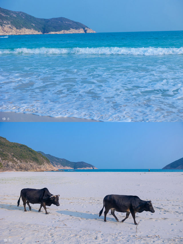 Hong Kong | The secret beach at Baisha is so beautiful 💙 Lazy hiking route attached