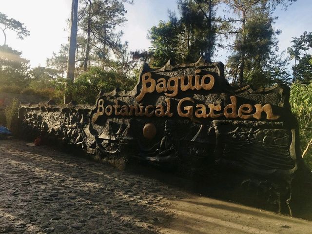  A Park You Shouldn't Miss In Baguio🇵🇭
