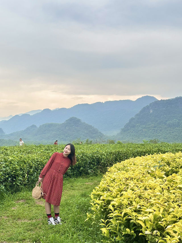 還是本地人會玩清遠積谷裡紅茶谷茶葉DIY體驗～