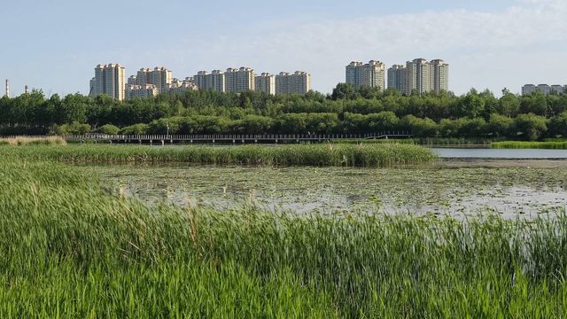 哈爾濱文化中心濕地公園