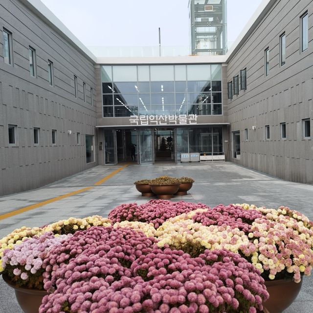 打卡韓國益山博物館（彌勒寺遺址）