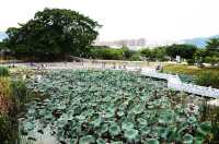 莆田市綬溪公園
