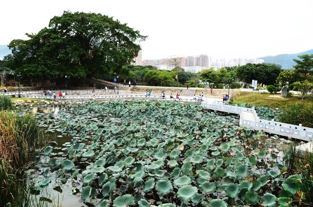 莆田市綬溪公園