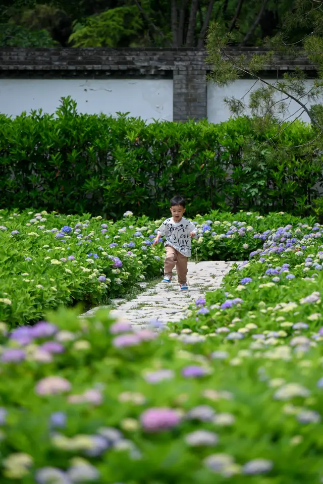 เจดีย์นกน้อย | มีสีเขียวที่ฟื้นฟูสุขภาพและดอกไม้ที่สวยงามที่สุดในซีอาน