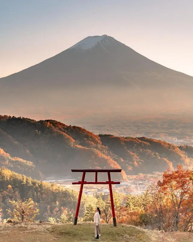 私の見る東京