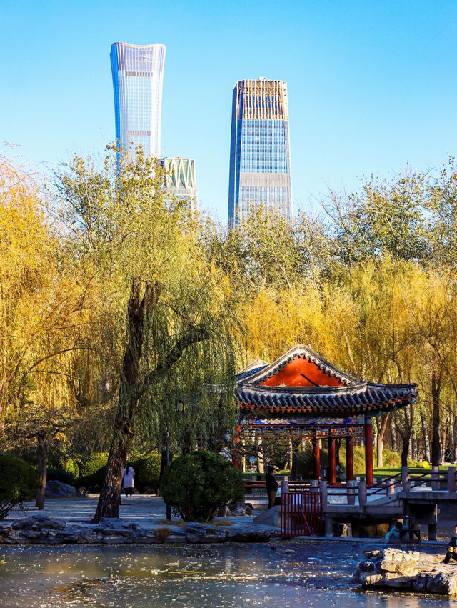 北京日壇公園•CBD與古建築同框