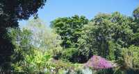 雲南|中科院植物園