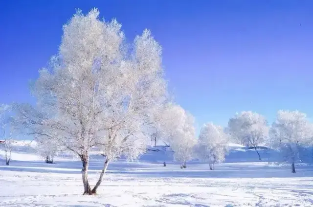 มีความคิดและสถานที่ไกล ๆ ที่เรียกว่า Ulan Bator ในฤดูหนาว