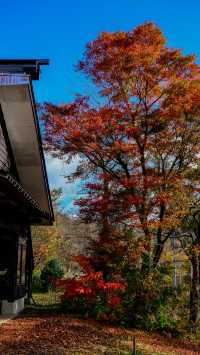 日本東北旅行之東鳴子溫泉百年旅館大沼，鳴子峽紅葉