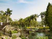 世界最大的藥用植物園!原來就在廣西!