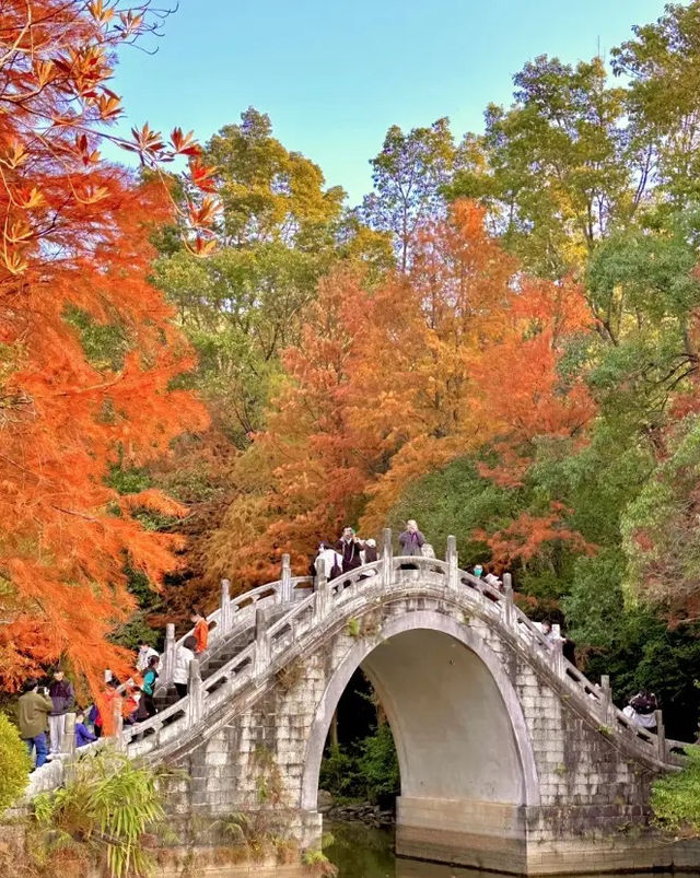 親近大自然，深圳仙湖植物園帶你遠離城市喧囂！