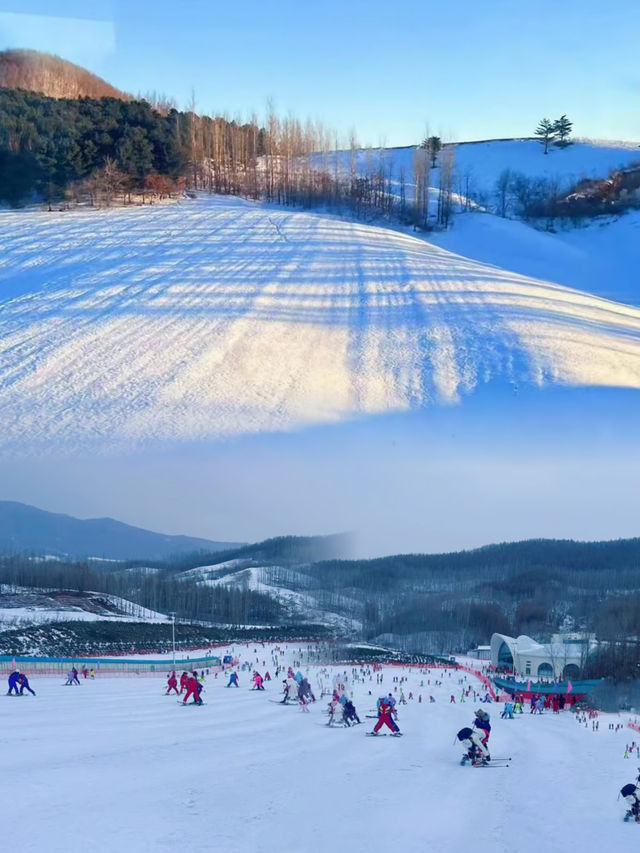 哈爾濱亞布力滑雪場｜滑雪一定來這啊