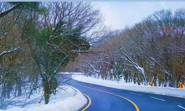 제주도 여행 전 필독 - 동부 관광 상세 설명