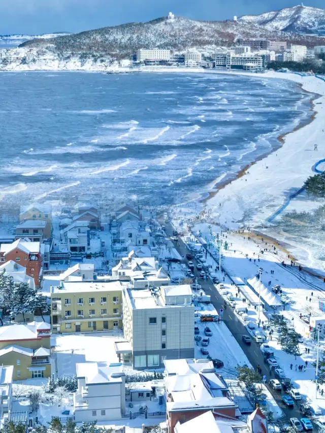 The ultimate romance of Weihai | It's like coming to the Ice Age