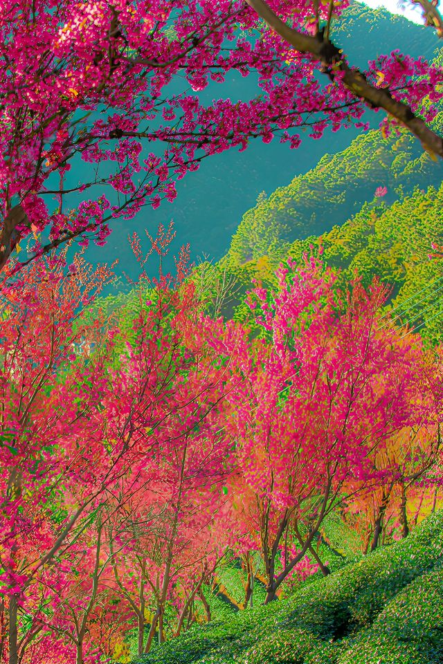 大理無量山，一個夢幻般的地方