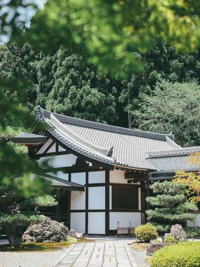 京都漫遊紀 | 風情夏日