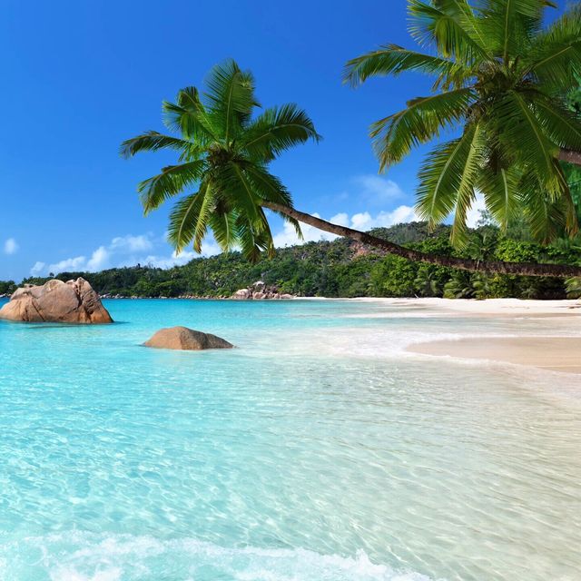 🌊呢度係海島天花板 "人生一定要去嘅50個地方之一"🌊呢度係海島天花板 "人生一定要去嘅50個地方之一"