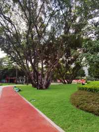磨碟沙公園||可以欣賞廣州塔的體育公園