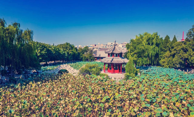 保定古蓮花池,中國十大名園之一,是保定旅遊的必打卡地 保定古蓮花池,中國十大名園之一,是保定旅遊的必打卡地