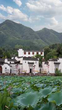總要去一趟徽州呈坎吧！來看看這個水墨江南第一村，遊呈坎一生無坎，這裡一半人間煙火，一半詩情畫意，粉牆
