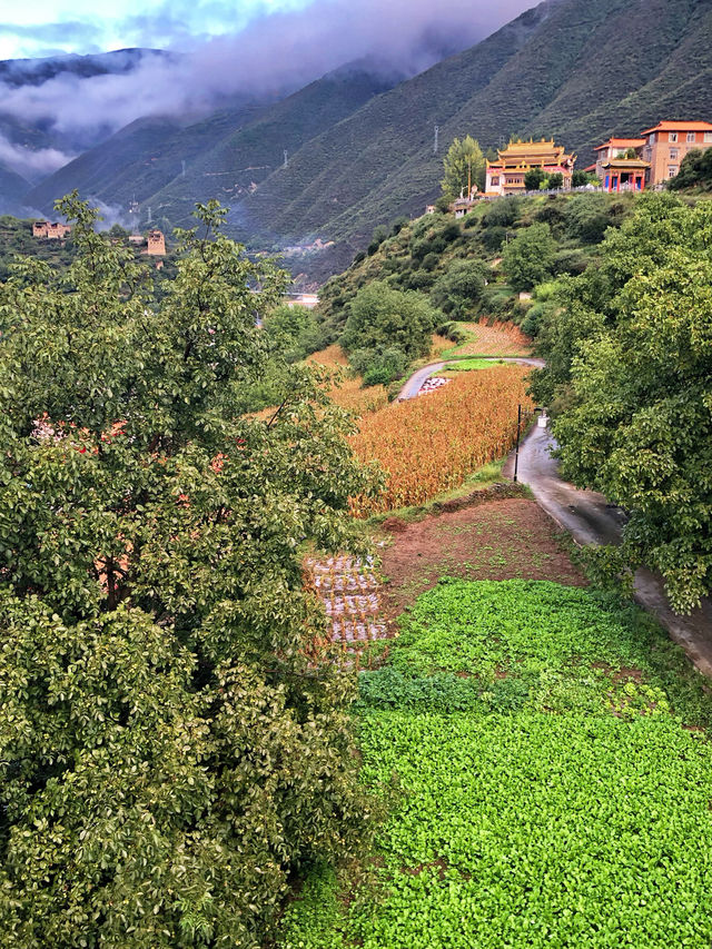 馬爾康本真村風景