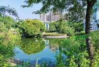 福州·屏山公園——來福州必須要打卡的古韻公園