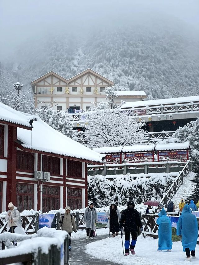 快來武功山玩雪！這份冬日攻略超有用！