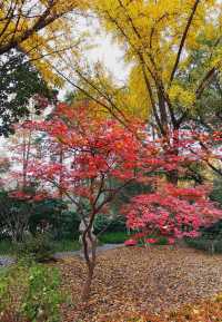 古漪園 -上海五大古典園林之一