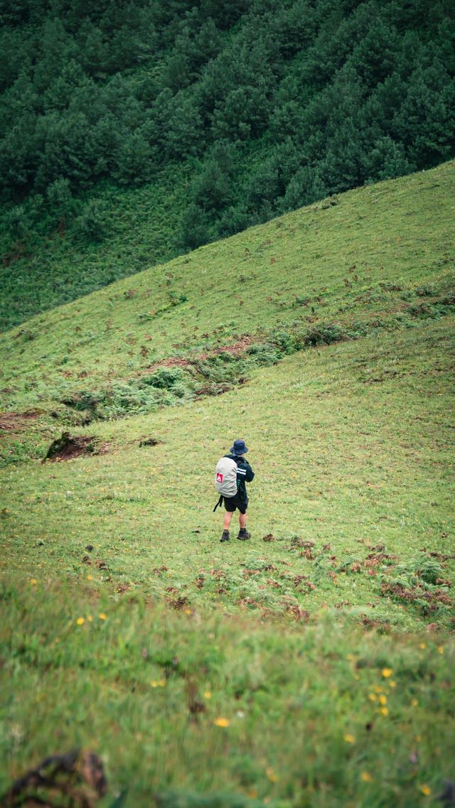 昆明周邊徒步攻略14——尋甸鳳龍山 煙雨矇矇的天氣，在鳳龍山脊徒步也很不錯啊，不過是披上雨衣，走向荒野罷了，還未枯黃的草原，山間彌漫的雨霧，多出了一份別樣的氛圍靜謐感