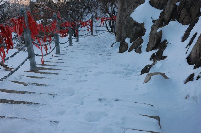 冬日泰山盛宴，美景等你來解鎖！