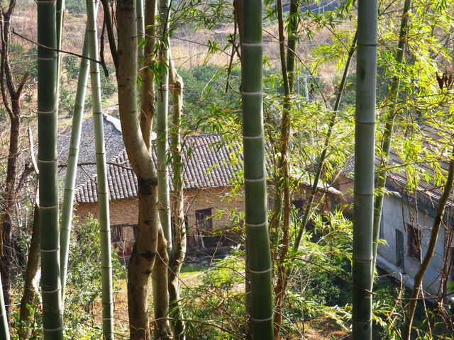 游黃連村記