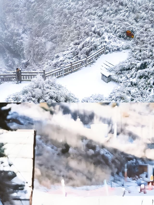 剛從神農架滑雪回來，想去的姐妹聽我10句勸你們都擠去哈爾濱吧