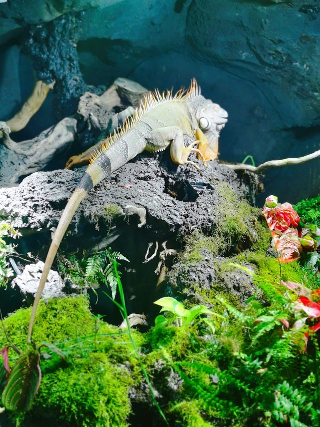 海洋世界｜治療系的深藍夢境