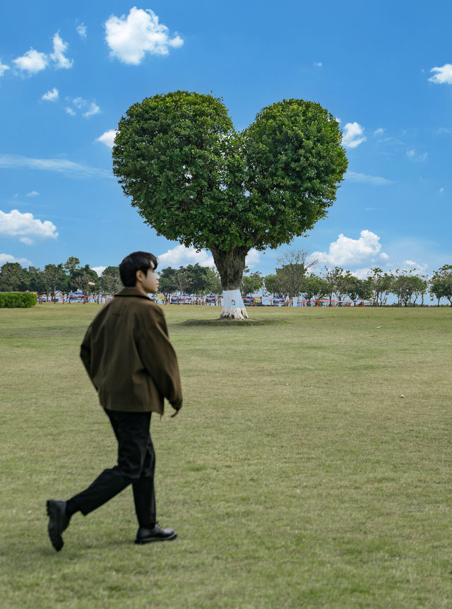 剛從珠海回來先說說我的真實感受