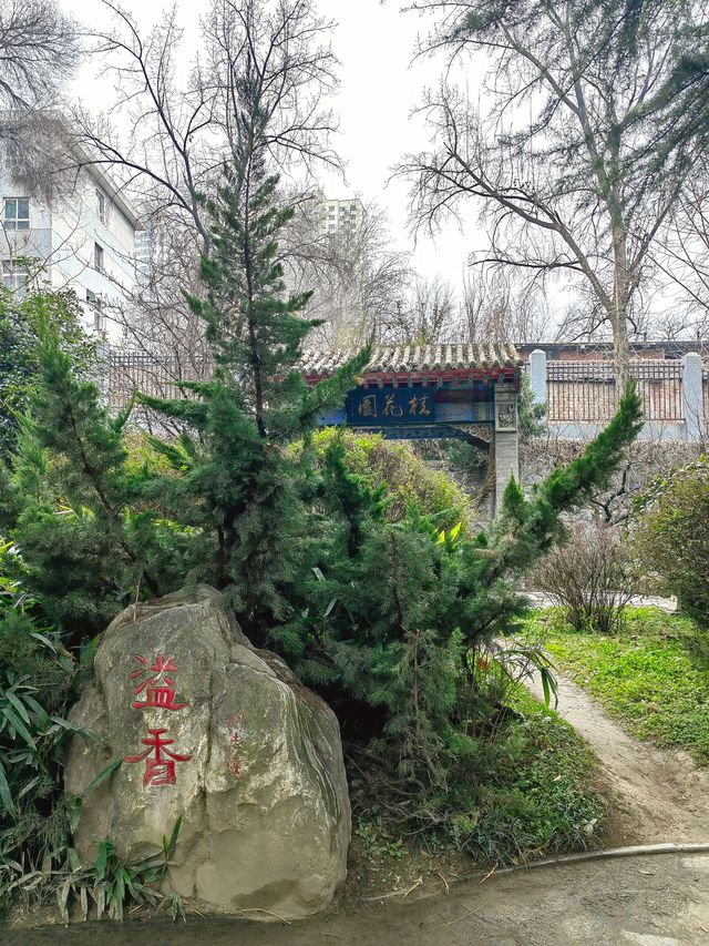 大象滑梯,並不是只在興慶公園有 大象滑梯,並不是只在興慶公園有