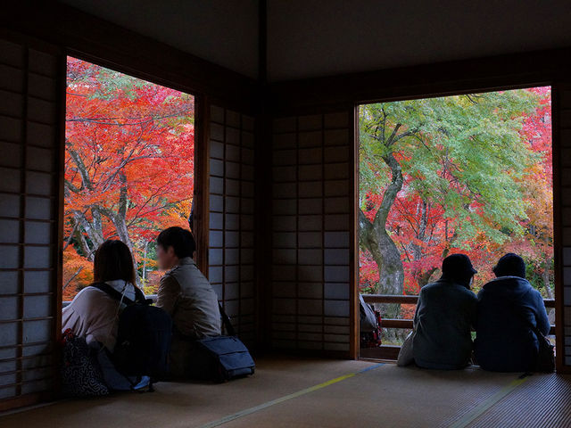 打卡京都寶筐院