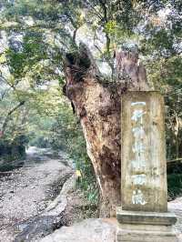 國清寺，中國佛教天台宗的發源地