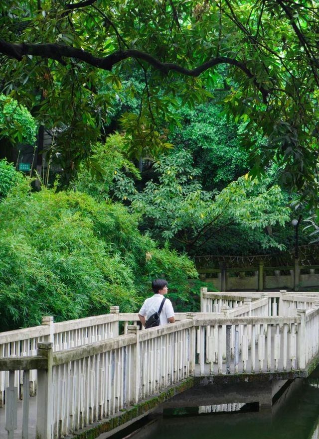 山城小姑蘇，人間重晚晴重慶 Citywalk