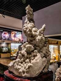 巧奪天工的奇石展 | 上海東方地質科普館