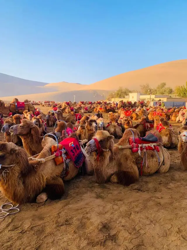 The magnificent scenery of Dunhuang is breathtaking