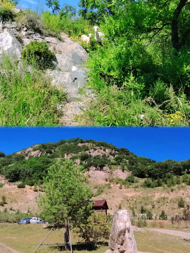 長春市丨鮮為人知的兩個小眾景點丨八台嶺、四棱山國家森林公園