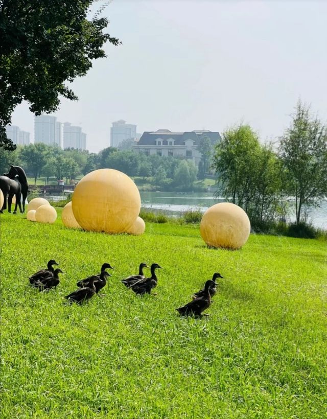 北京周末一站式溜娃—大湖公園