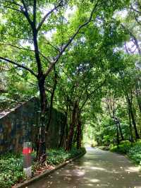 筆架山公園