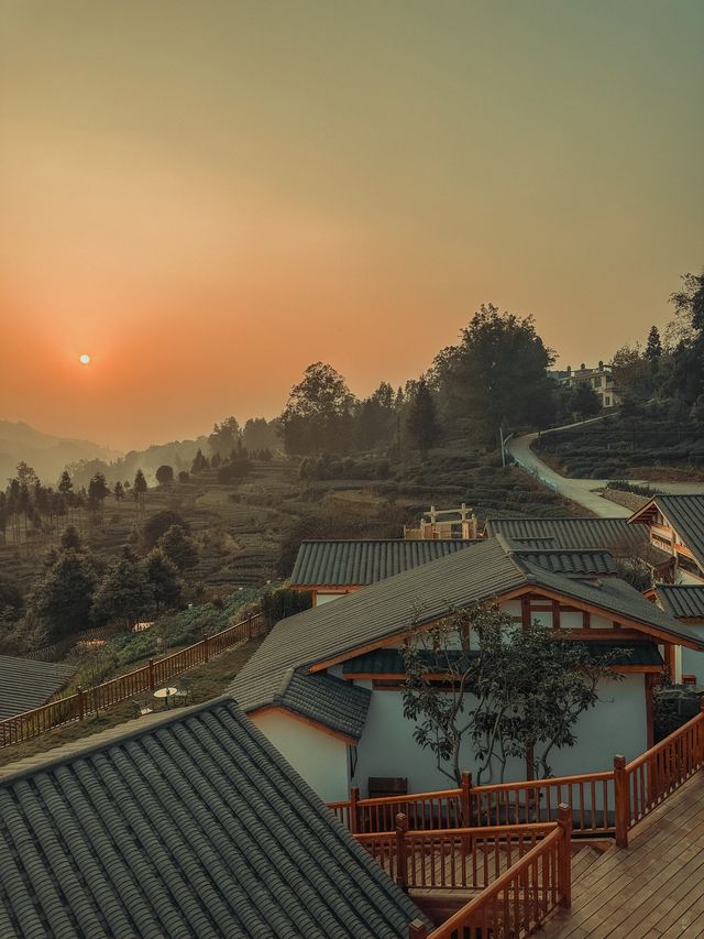 向往的生活體驗卡已掉落——奔赴一場茶山日落