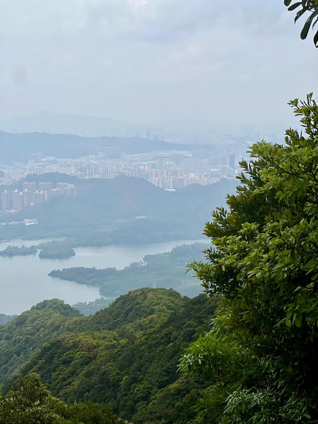 深圳輕鬆拿下梧桐山