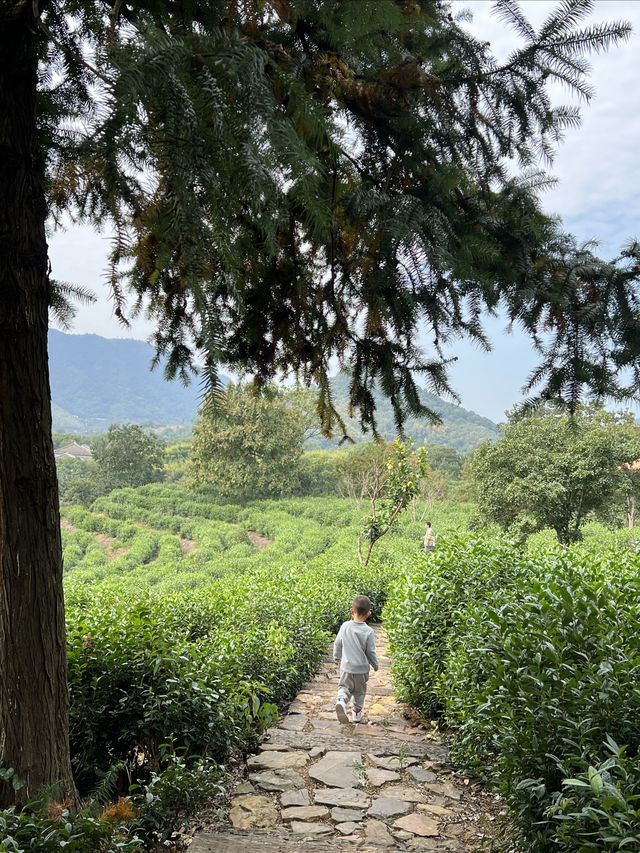 上海周邊踏春酒店