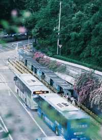 深圳「小花園」可以讓你出大片哦