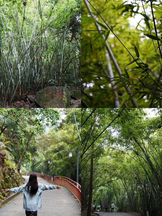 廣州周邊週末洗肺計劃佛山小武功山一日遊